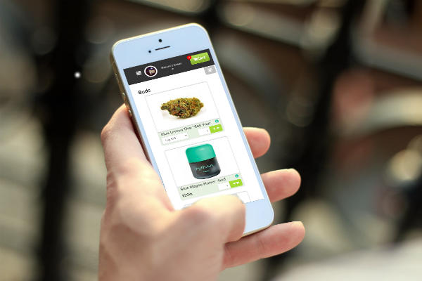 GreenSling online ordering app